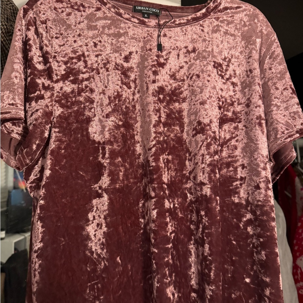 Urban Coco Velvet Short Sleeve Top in Mauve